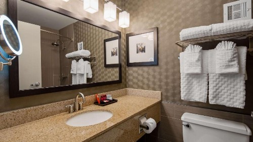 Best Western Premier Airport/Expo Center Hotel - image 5
