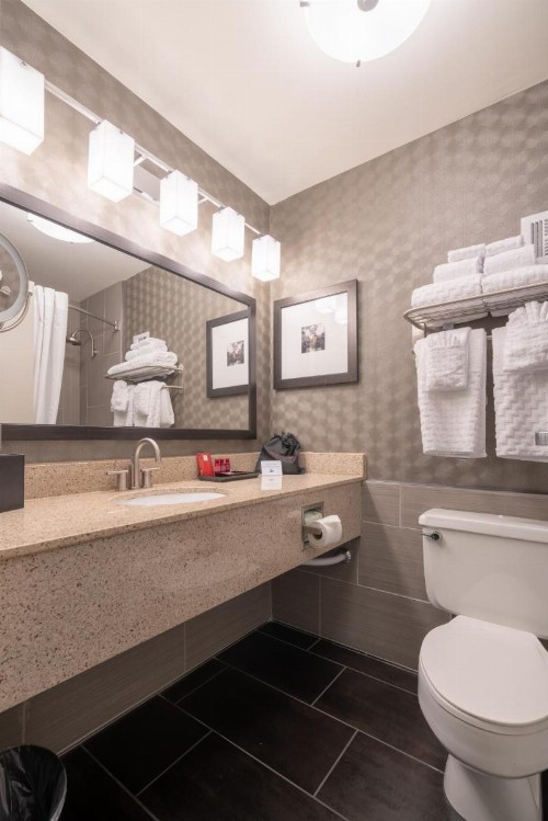 Best Western Premier Airport/Expo Center Hotel - image 50