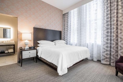 Embassy Suites Louisville Downtown - image 14