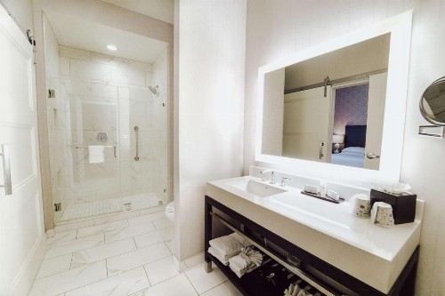 Embassy Suites Louisville Downtown - image 19