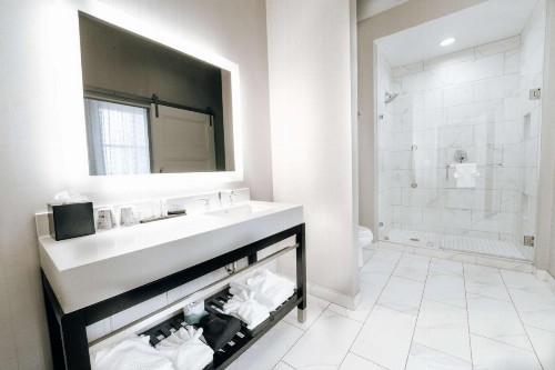 Embassy Suites Louisville Downtown - image 35