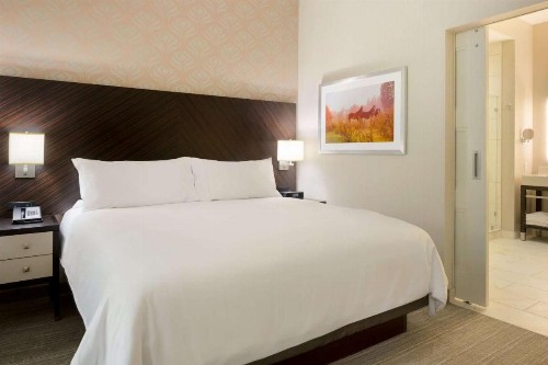 Embassy Suites Louisville Downtown - image 50