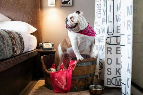 Moxy Louisville Downtown - image 26