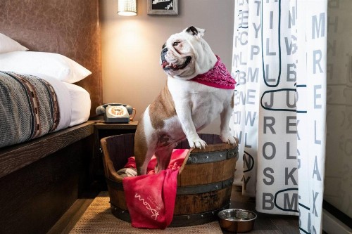 Moxy Louisville Downtown - image 45