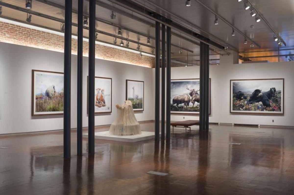 21c Museum Hotel Louisville - image 5