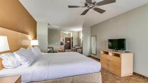 Holiday Inn Express & Suites Lubbock Southwest – Wolfforth an IHG Hotel - image 2