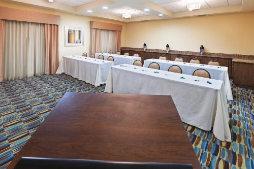 Holiday Inn Express & Suites Lubbock Southwest – Wolfforth an IHG Hotel - image 21