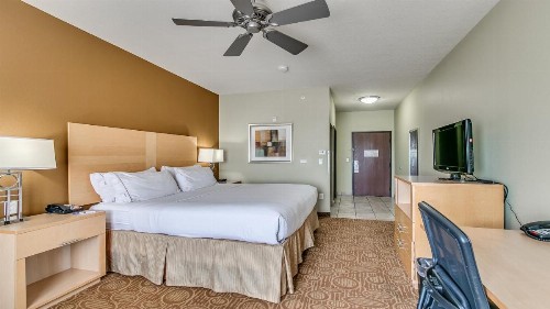 Holiday Inn Express & Suites Lubbock Southwest – Wolfforth an IHG Hotel - image 34