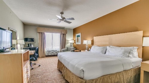 Holiday Inn Express & Suites Lubbock Southwest – Wolfforth an IHG Hotel - image 4