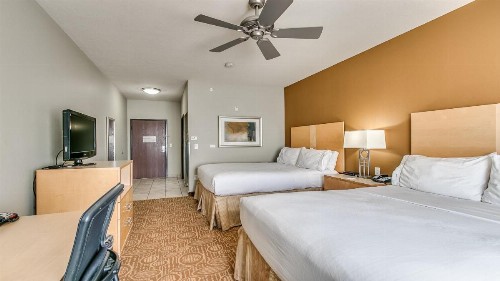 Holiday Inn Express & Suites Lubbock Southwest – Wolfforth an IHG Hotel - image 41