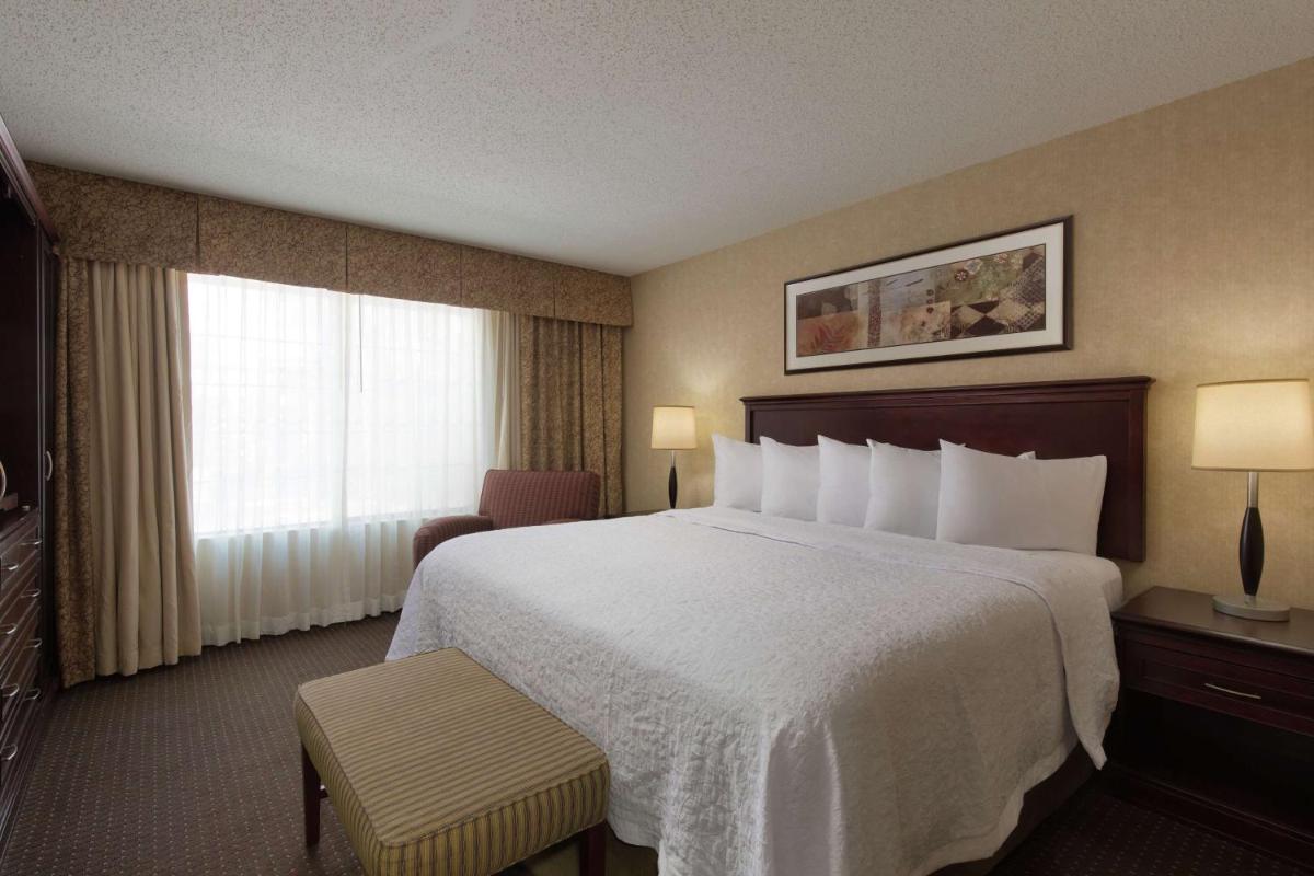 Embassy Suites Lubbock - image 2