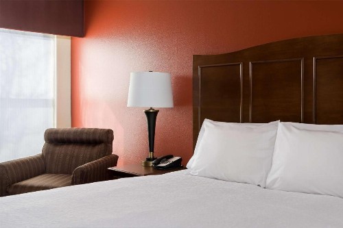 Hampton Inn Lubbock - image 21