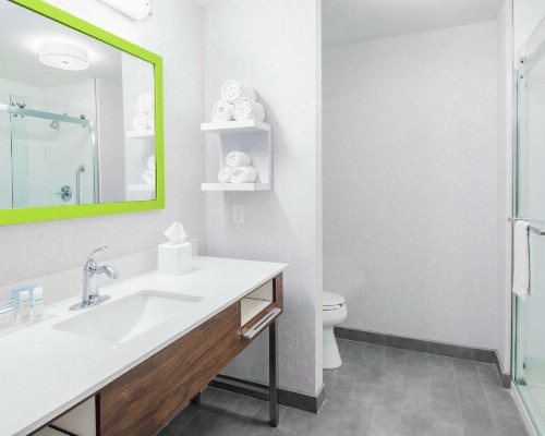 Hampton Inn & Suites Lubbock - image 18
