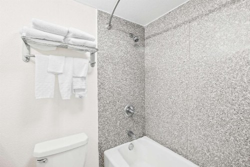 SureStay Plus Hotel by Best Western Lubbock Medical Center - image 26