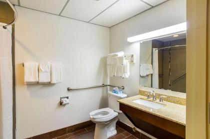 Quality Suites - image 13