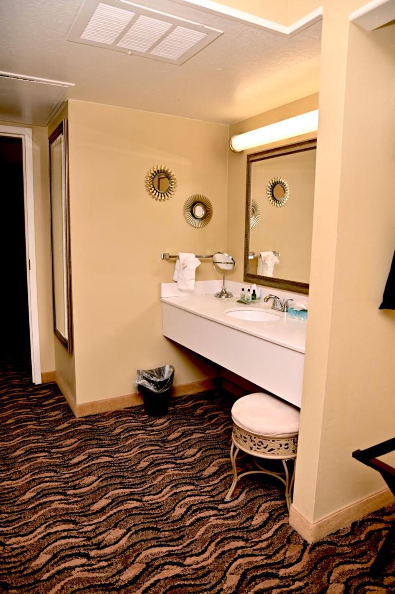MCM Elegante Hotel & Suites Lubbock - image 3