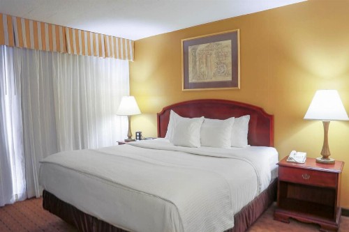 MCM Elegante Hotel & Suites Lubbock - image 31