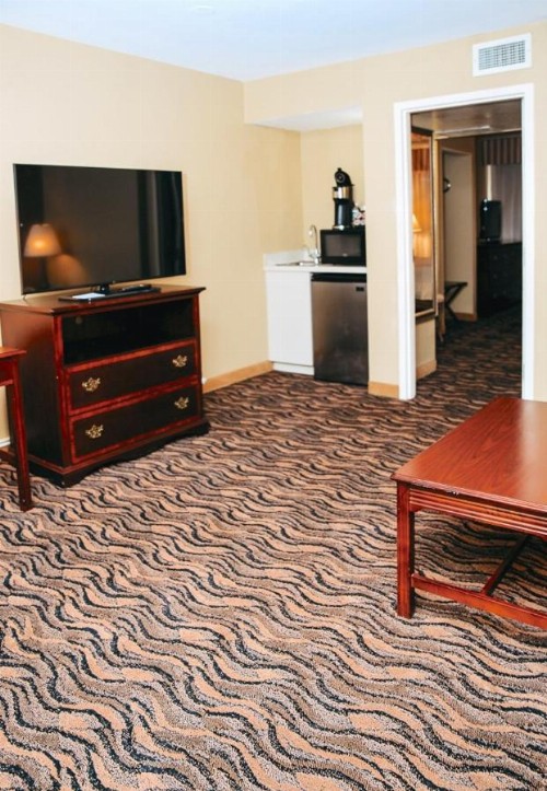 MCM Elegante Hotel & Suites Lubbock - image 9