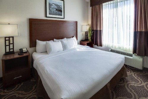 Ashmore Inn and Suites Lubbock - image 27