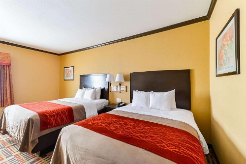 Quality Inn & Suites Lubbock - image 10