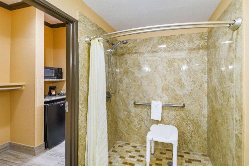 Quality Inn & Suites Lubbock - image 17