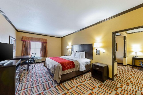 Quality Inn & Suites Lubbock - image 25