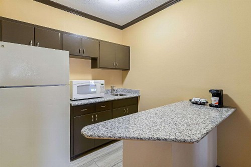 Quality Inn & Suites Lubbock - image 28