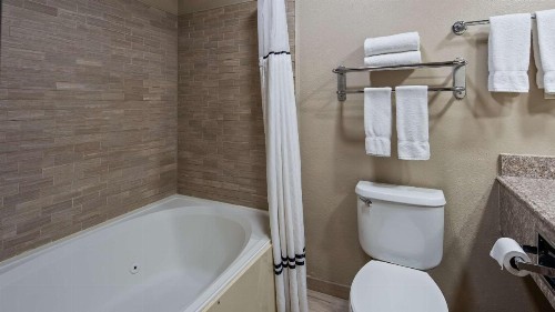 Best Western Plus Lubbock Windsor Inn - image 7