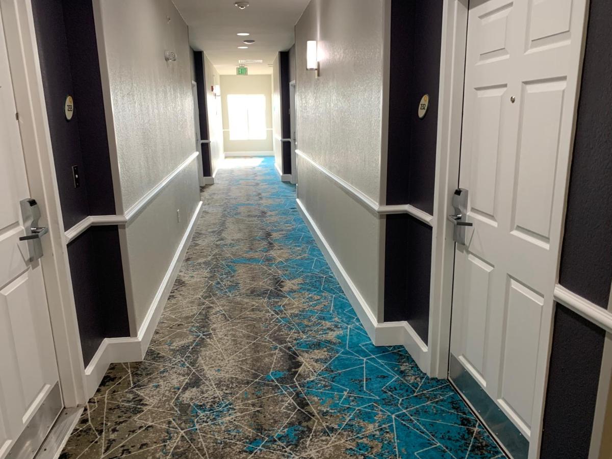 La Quinta by Wyndham Lubbock North - image 3