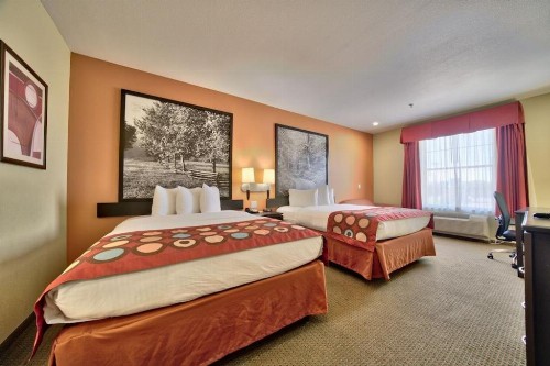 Super 8 by Wyndham Lubbock TX - image 16