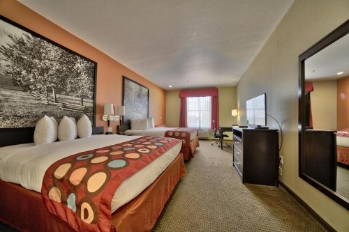 Super 8 by Wyndham Lubbock TX - image 2