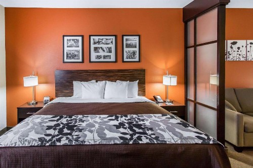 Sleep Inn & Suites - image 2