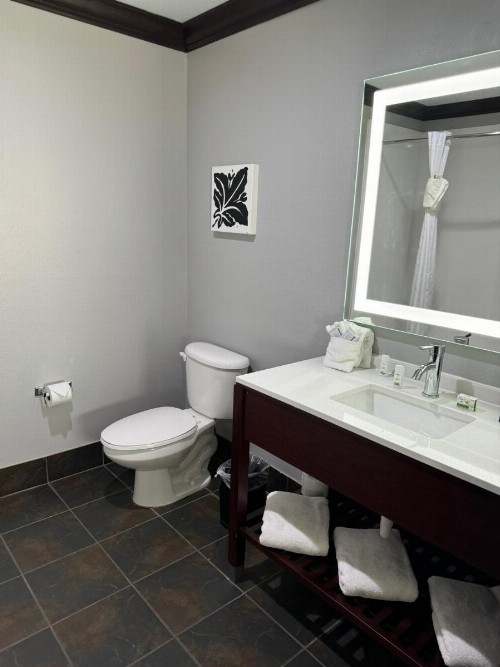 Hawthorn Suites by Wyndham Lubbock - image 26