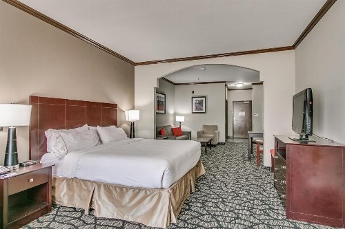 Holiday Inn Express and Suites Lubbock South an IHG Hotel - image 15