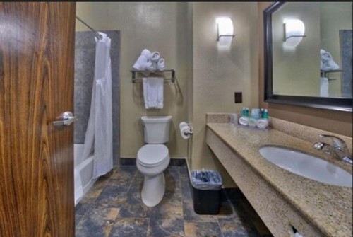 Holiday Inn Express and Suites Lubbock South an IHG Hotel - image 5