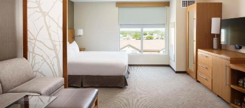 Hyatt Place Lubbock - image 48