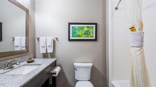 Best Western Plus Tech Medical Center Inn - image 26