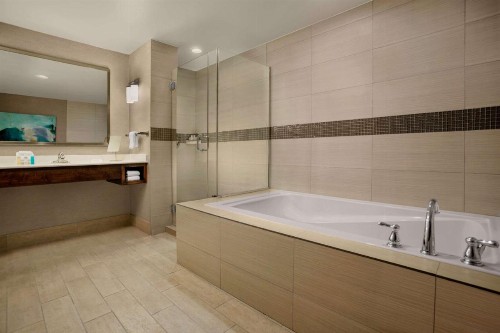 Hilton Garden Inn Lubbock - image 21