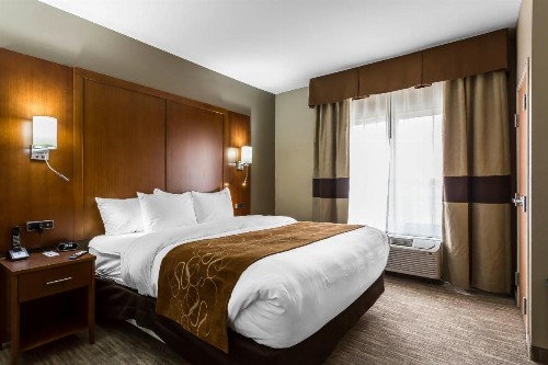 Comfort Suites - University - image 29