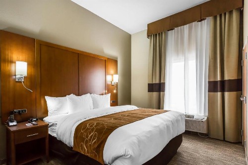 Comfort Suites - University - image 35