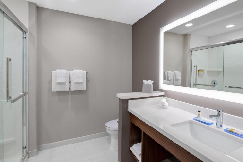 Holiday Inn Express & Suites Lubbock Central - Univ Area an IHG Hotel - image 29