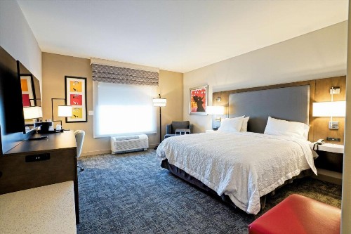 Hampton Inn & Suites Lubbock University Tx - image 11