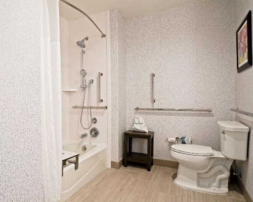 Hampton Inn & Suites Lubbock University Tx - image 13