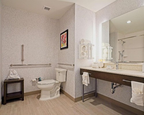 Hampton Inn & Suites Lubbock University Tx - image 14