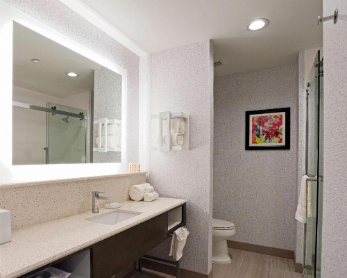Hampton Inn & Suites Lubbock University Tx - image 16