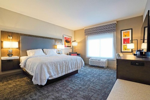 Hampton Inn & Suites Lubbock University Tx - image 17