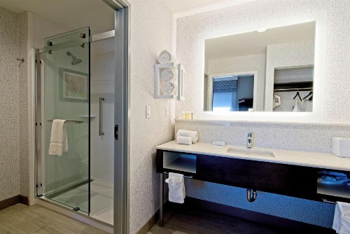 Hampton Inn & Suites Lubbock University Tx - image 18