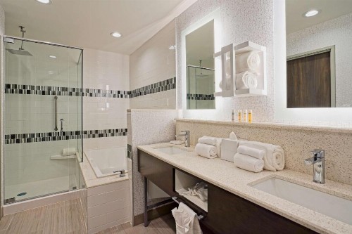 Hampton Inn & Suites Lubbock University Tx - image 21