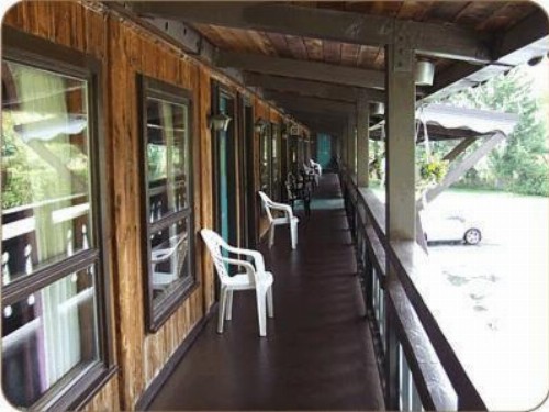 Timber Inn Motel - image 5