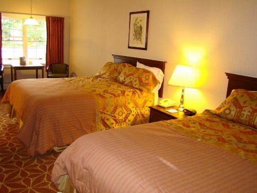 Ludlow Colonial Motel - image 12